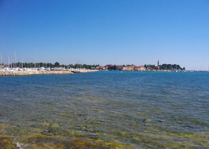 Novigrad 1 Apartman Karpinjan