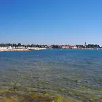 Novigrad 1 Appartamento Karpinjan